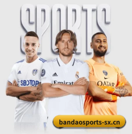 半岛体育 APP | BANDAO SPORTS